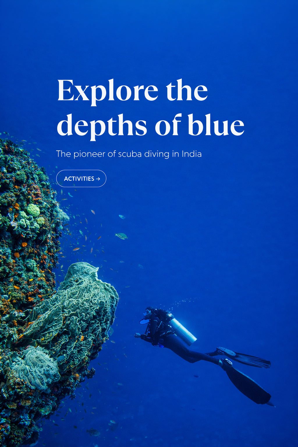 Scuba diving website design