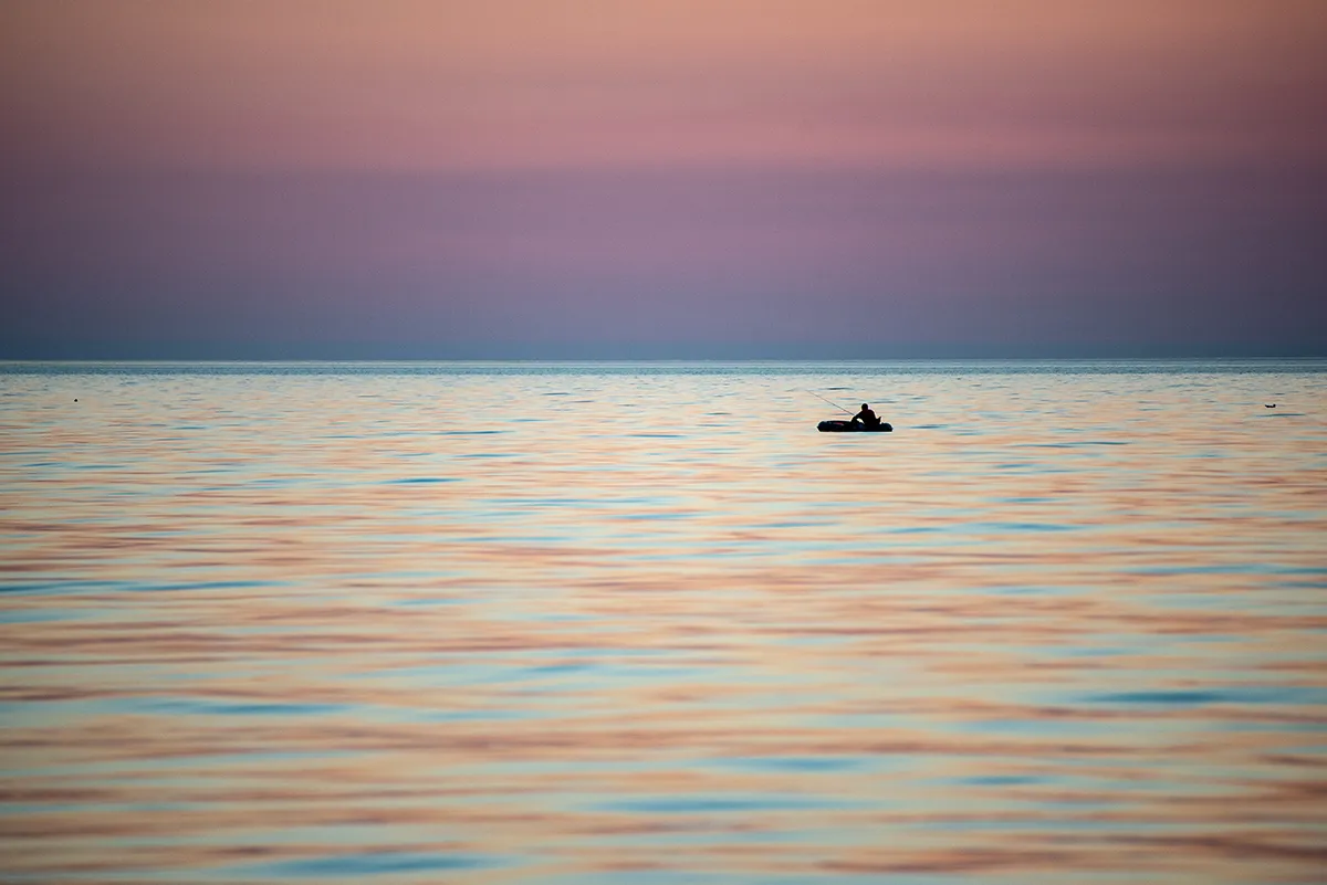 مفهوم رونق الفن