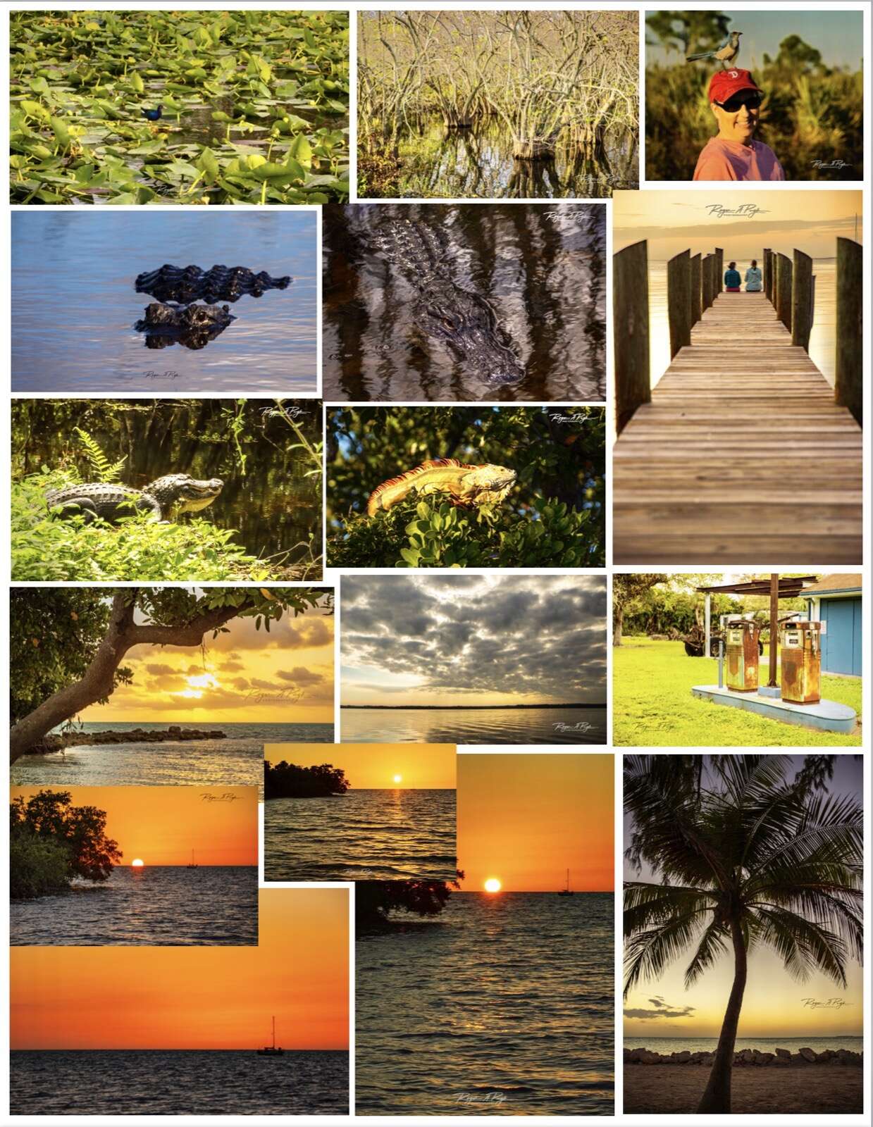 In comparison, here are pictures I took with my I-phone (so don't judge me) but I still wanted to post pictures of the incredible things we did and saw...