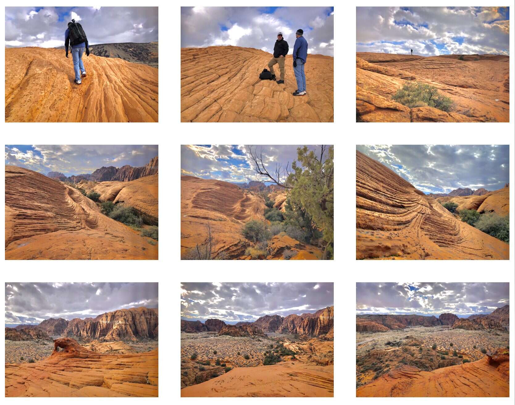 Roger's beautiful pictures of Yant Flats & Snow Canyon...