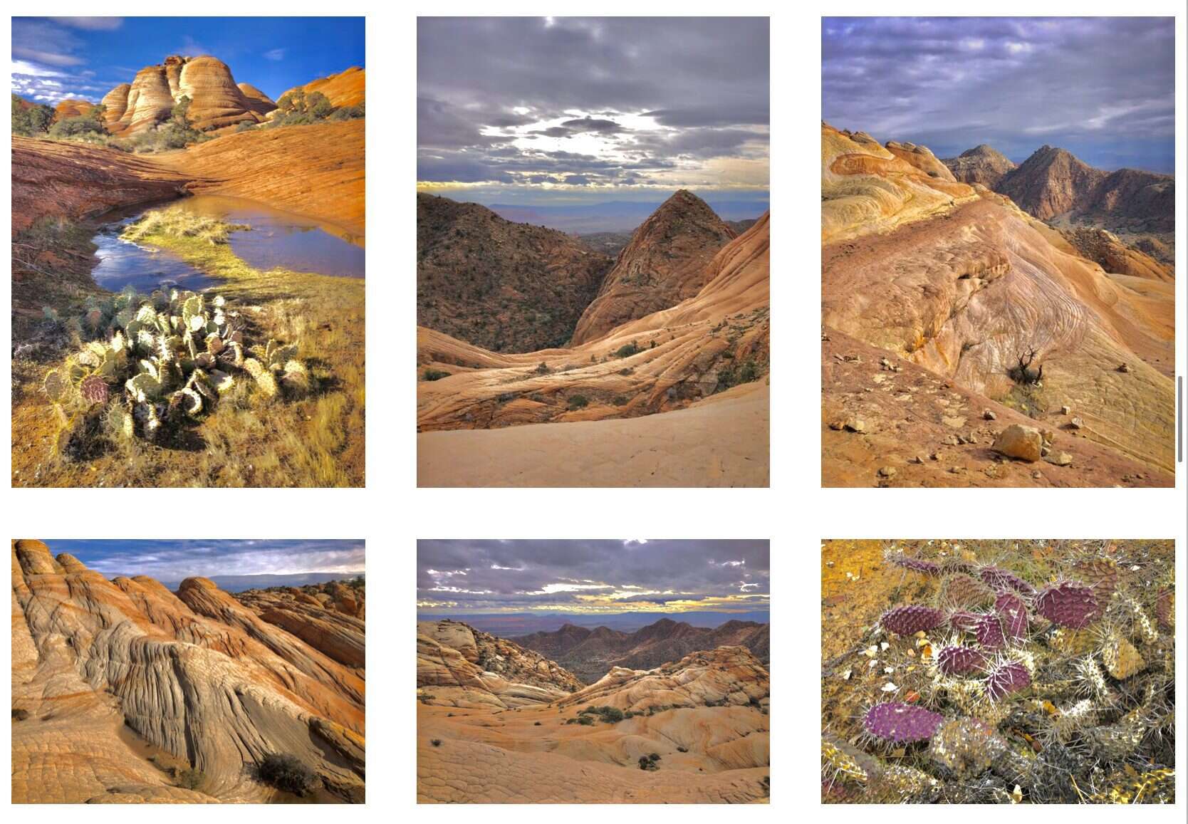 Snow Canyon