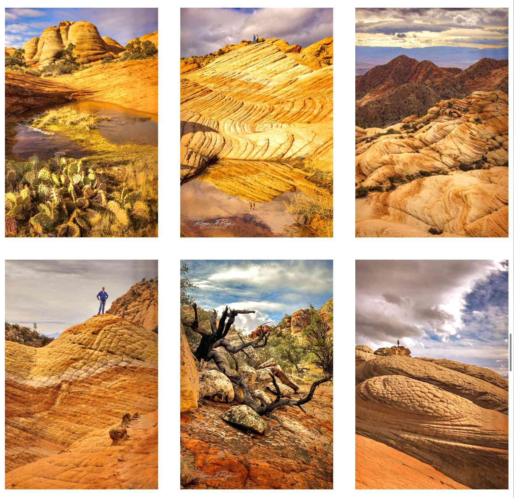 We even did some hiking at Dixie Rock in Saint George...