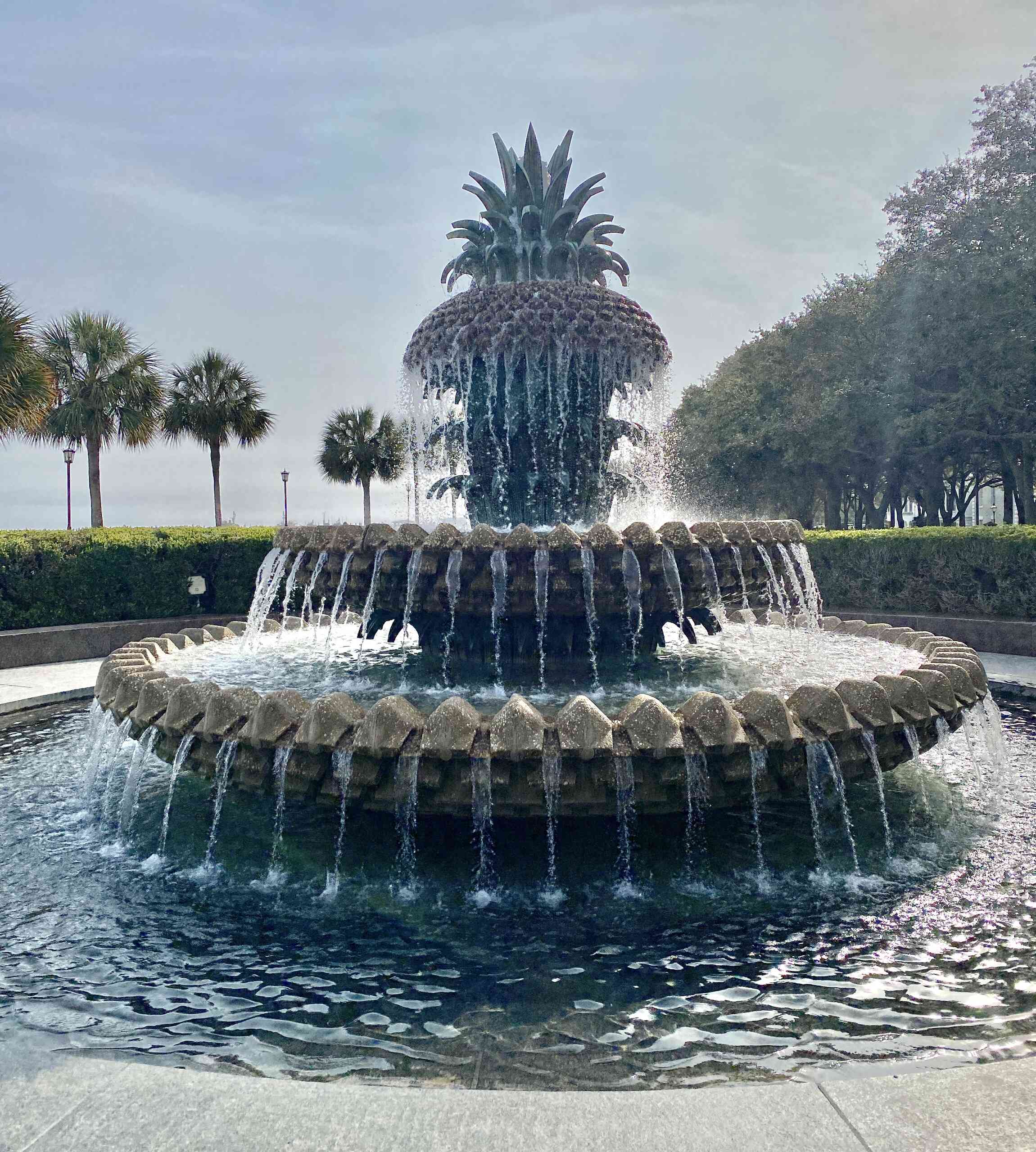 Pinapple Fountain