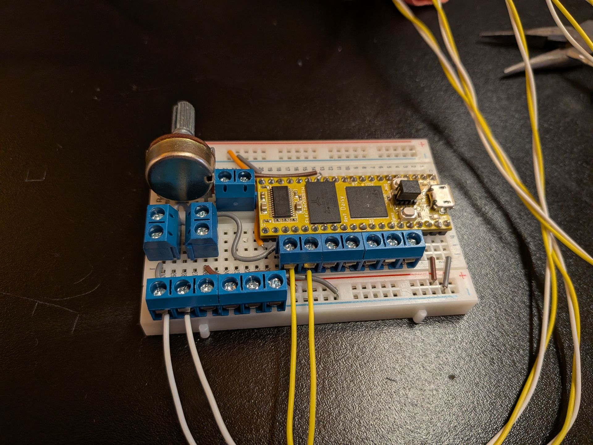 In the Palm of Your Hands image