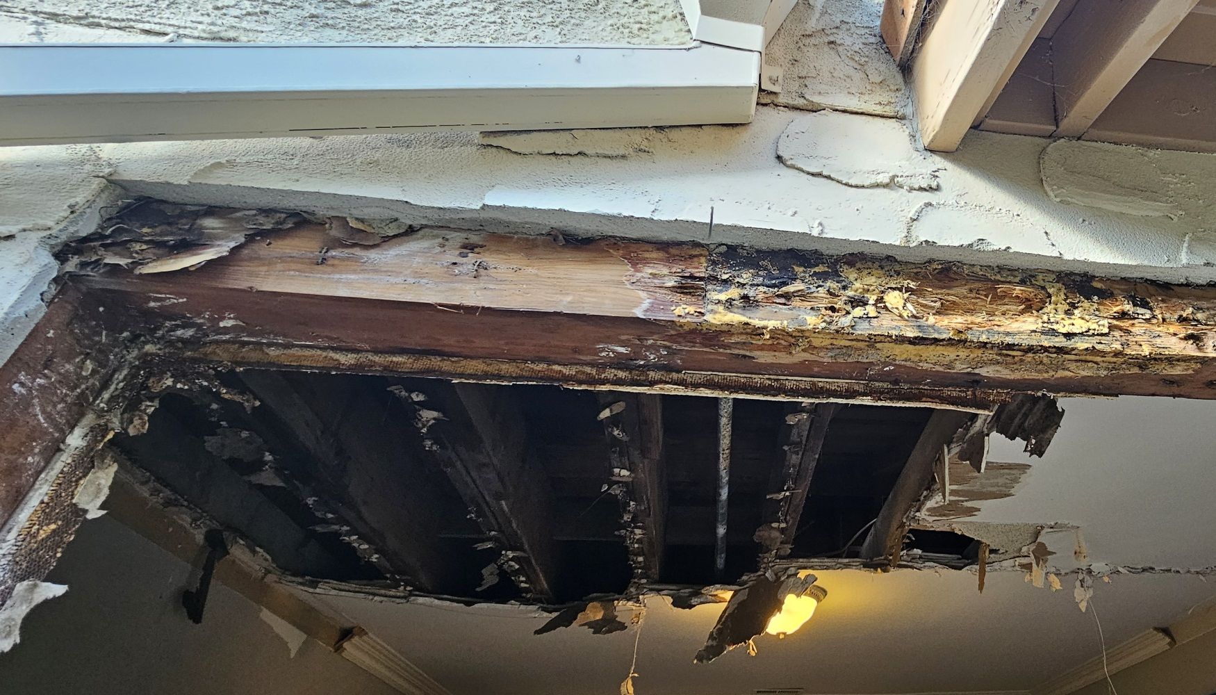 Water Damage 3
