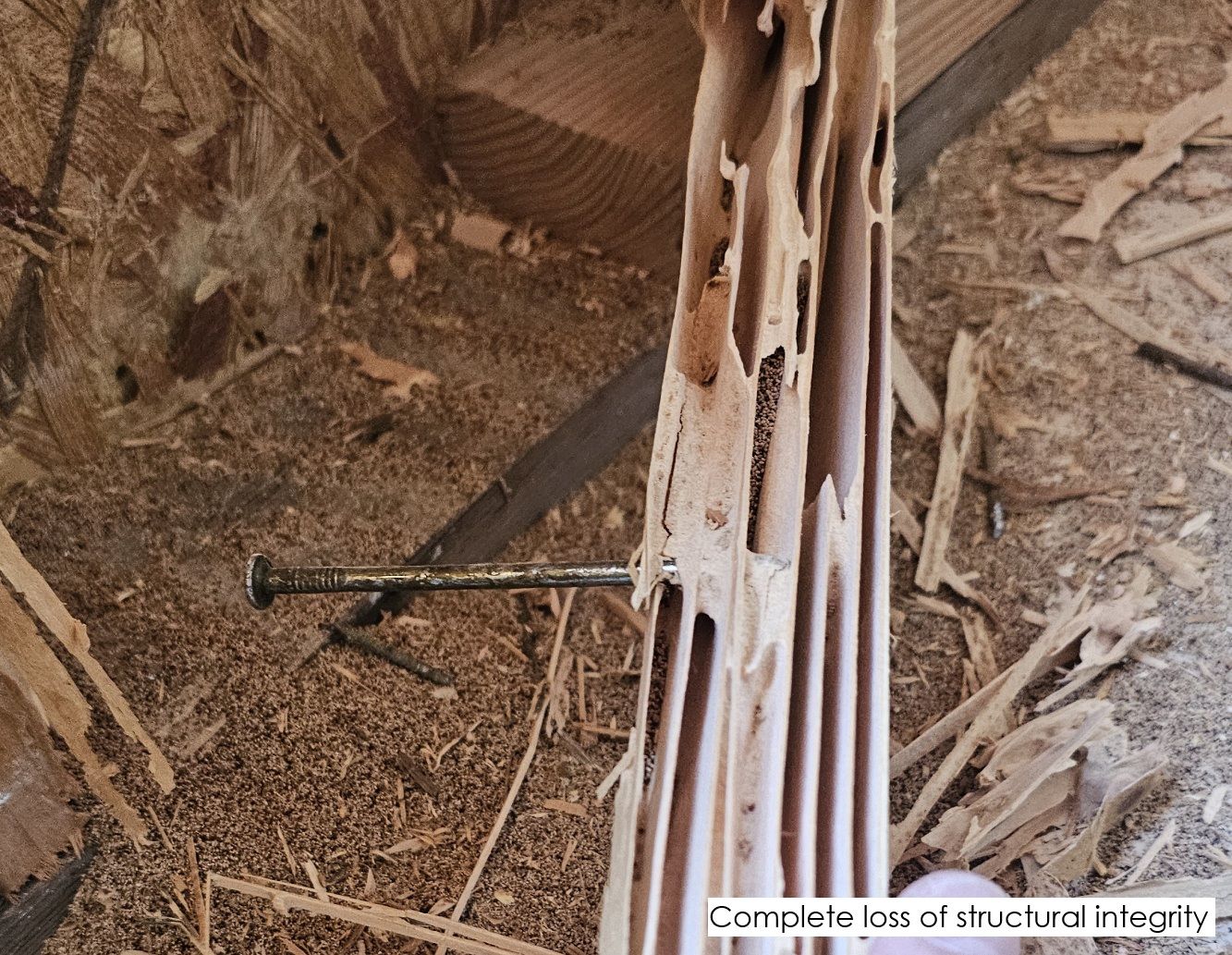 Weathered, termite-eaten timber, the kind of rot and damage steel avoids