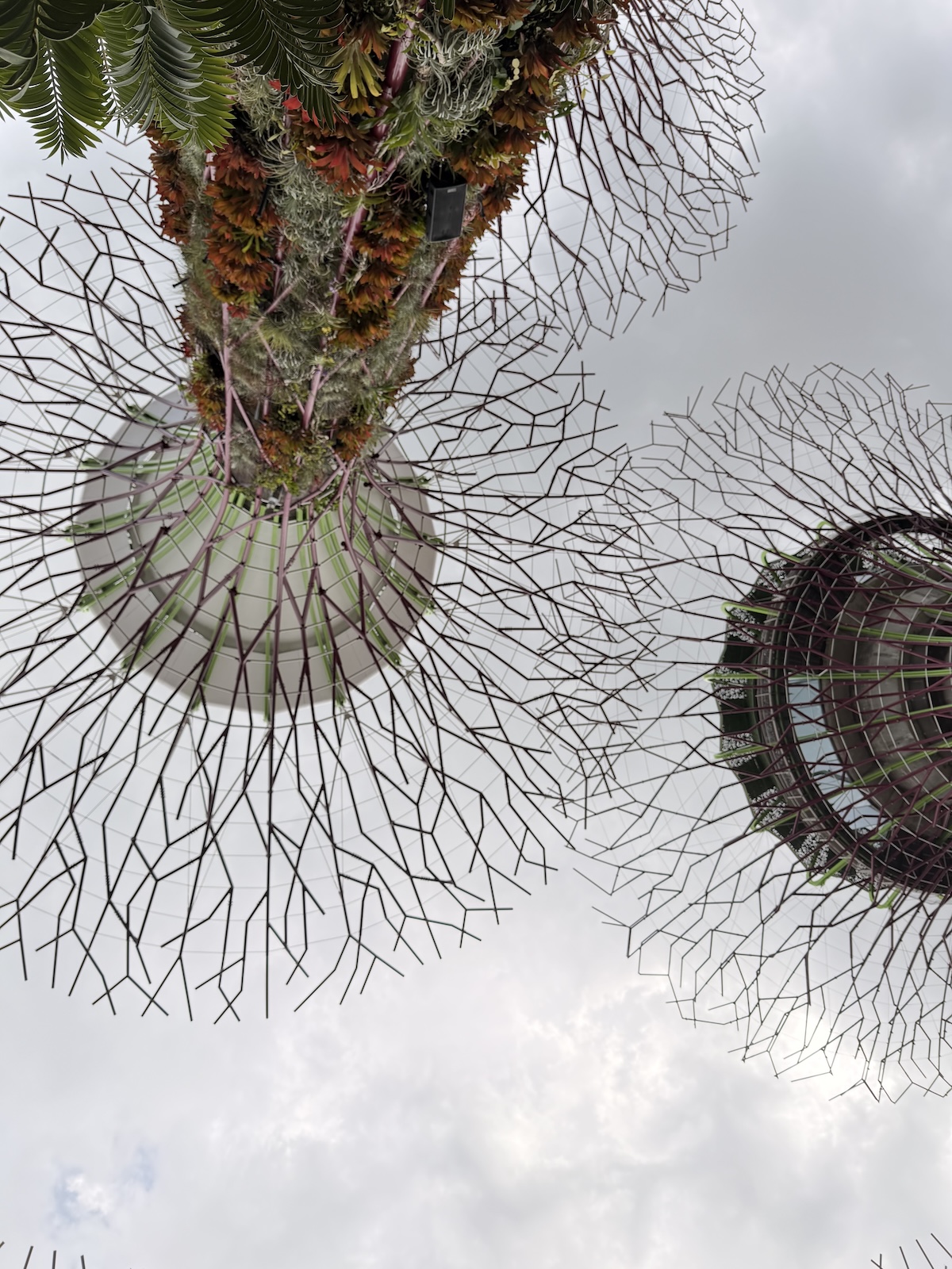 Gardens By The Bay Supertree on a cloudy day