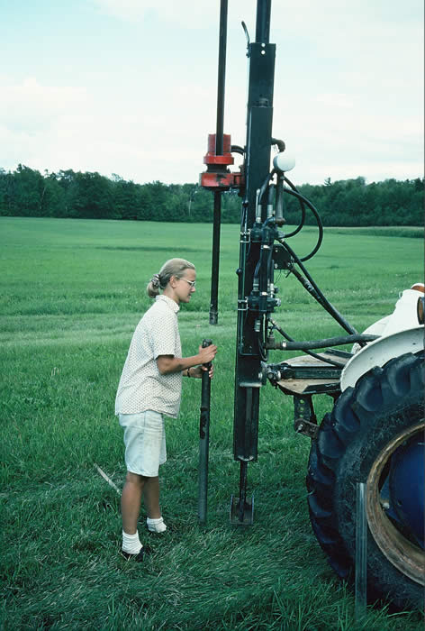Research photograph from the original site