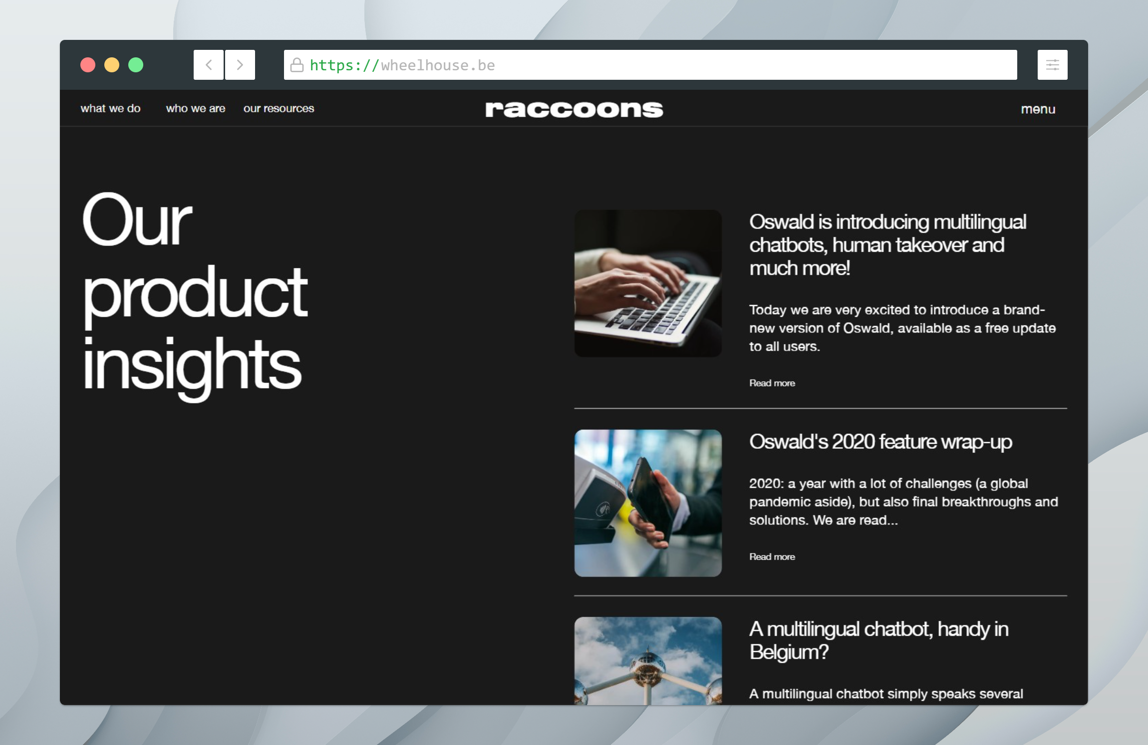 Raccoons: product insights