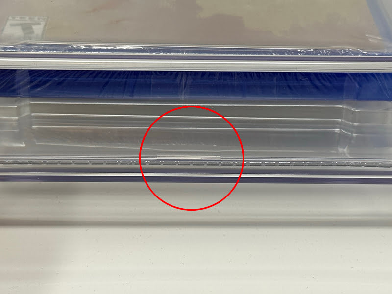 CGC graded What's Left of Edith Finch, bottom showing clip