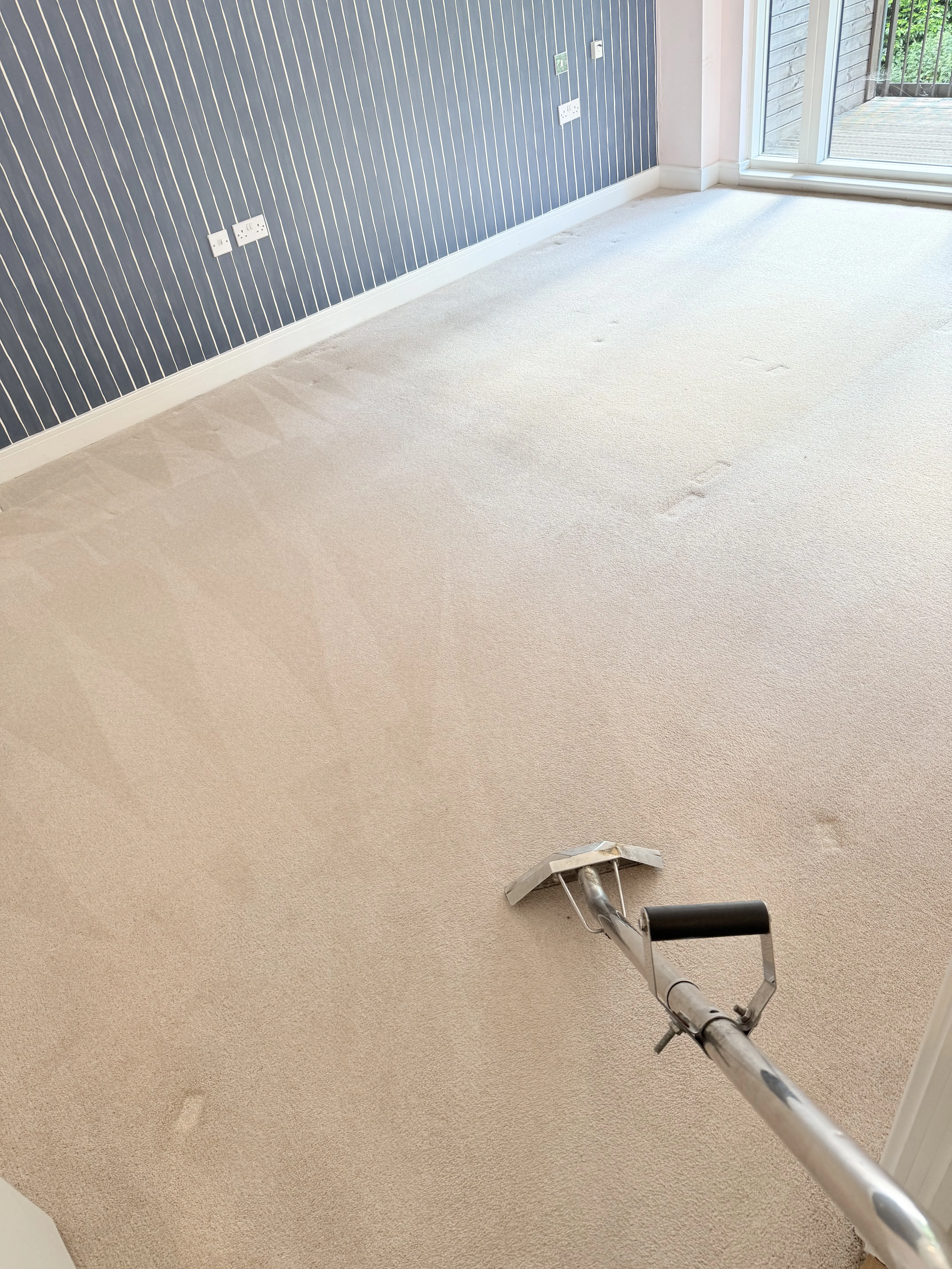 Cleaned floor