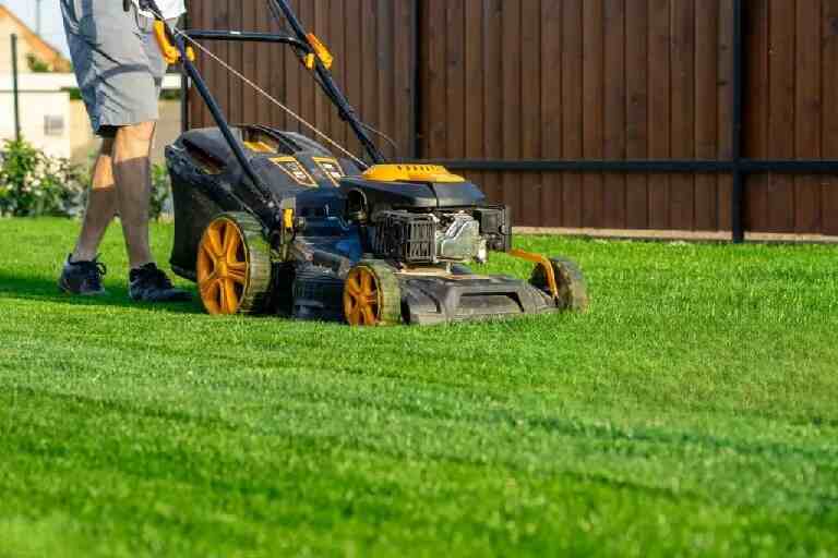 Lawn Mowing Services