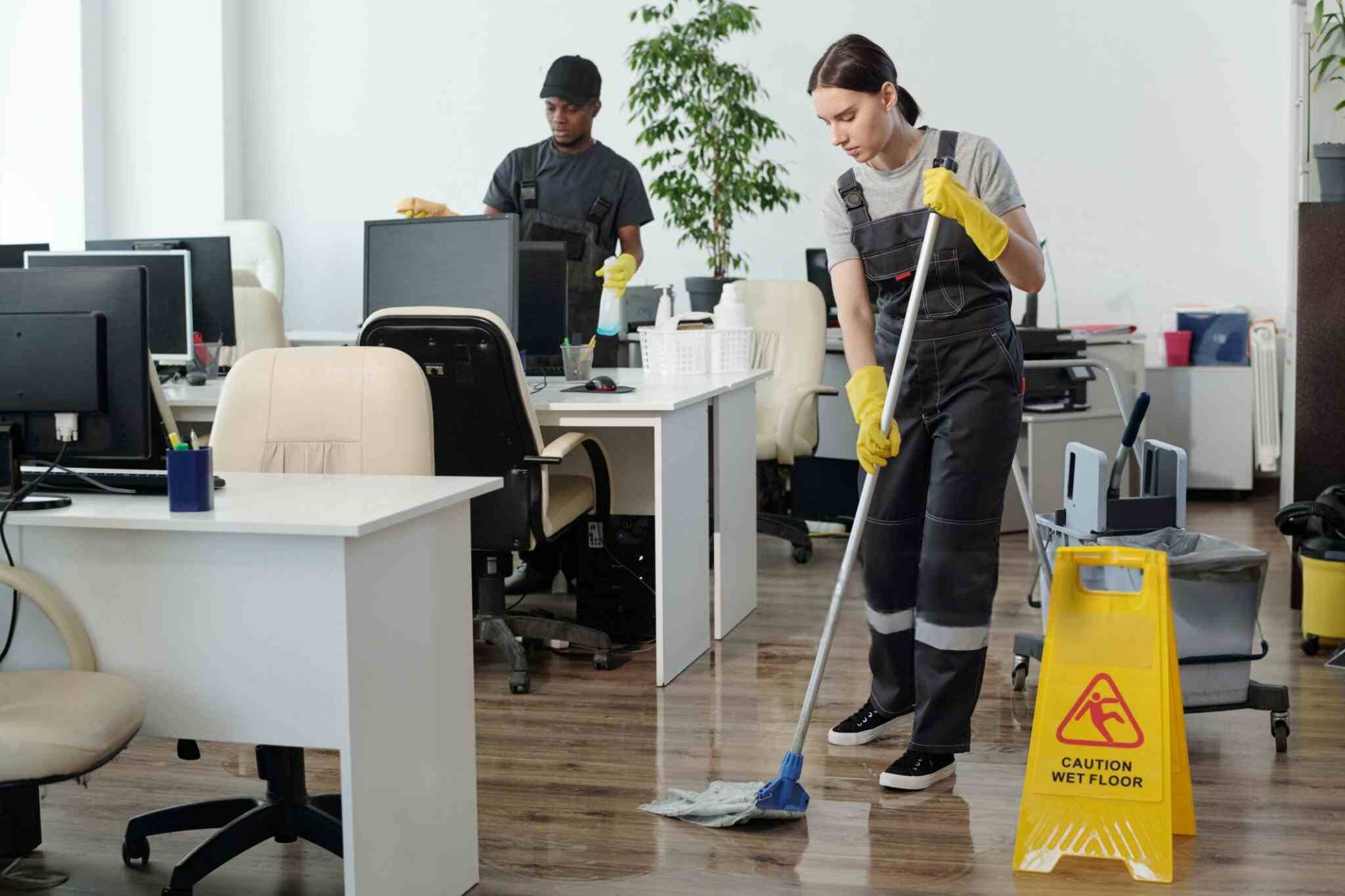 Cleaning Services 