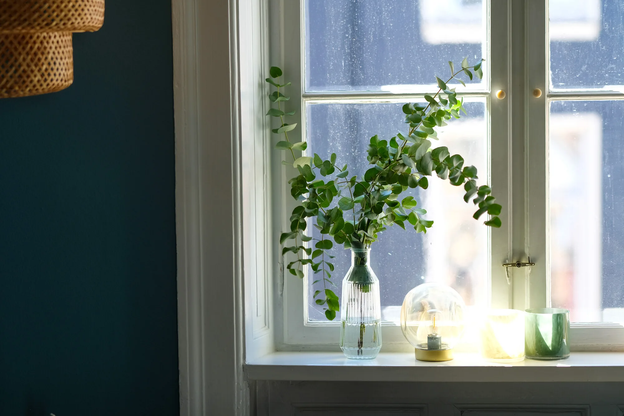 Vindue med planter i klinikken
