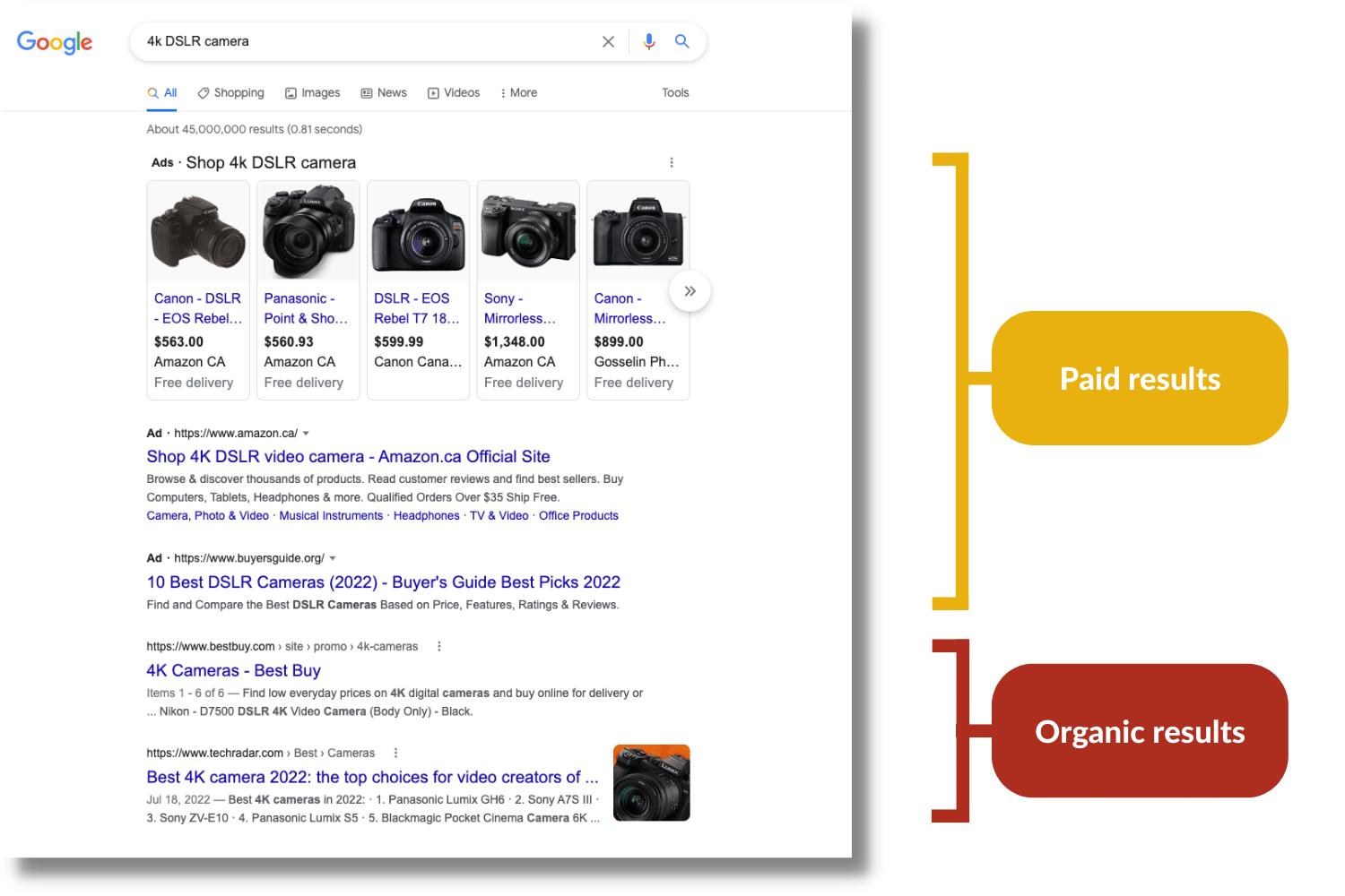 Paid results vs organic results on Google