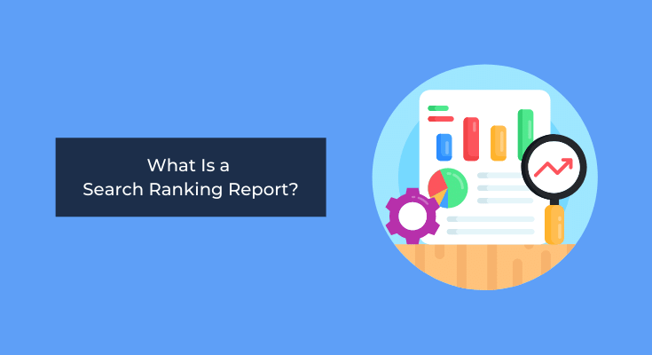 what is a search ranking report
