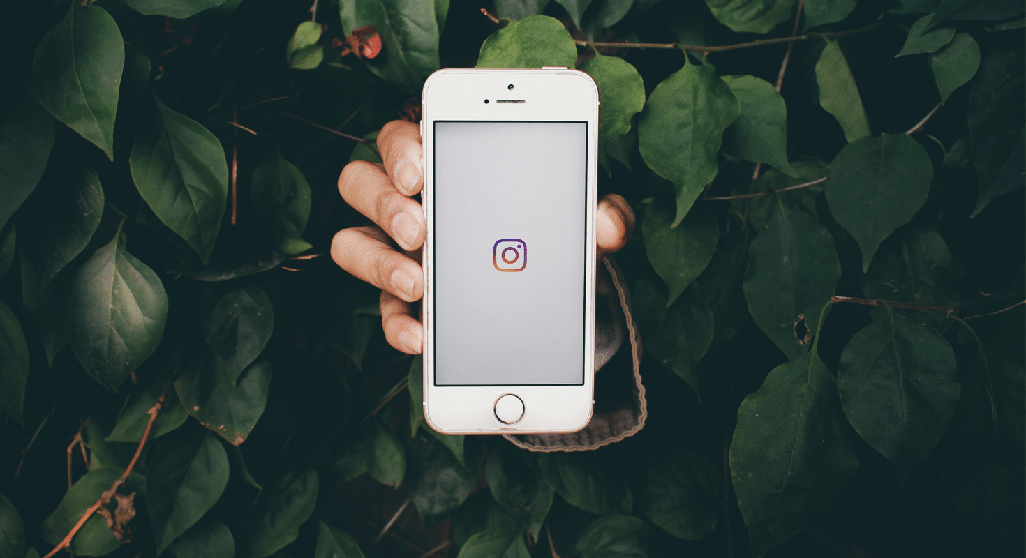 Where to find your Instagram analytics