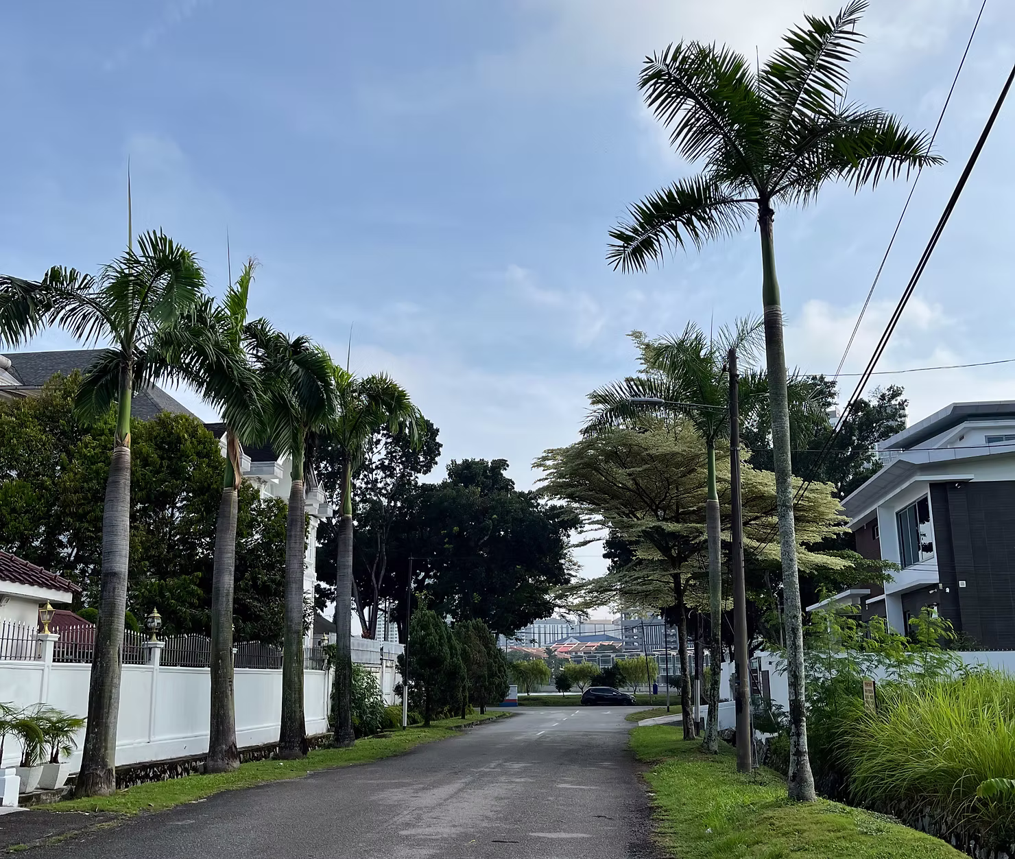 Blue Castle: From House to Home